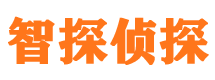 巫溪外遇出轨调查取证